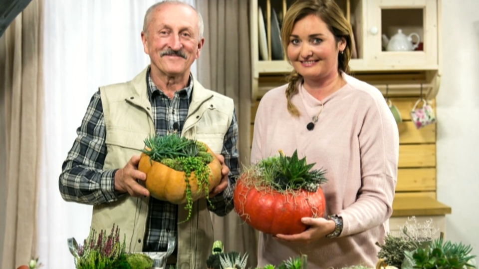 RECEPTÁŘ PRIMA NÁPADŮ: zajímavé dýňové aranžmá v kombinaci se sukulenty